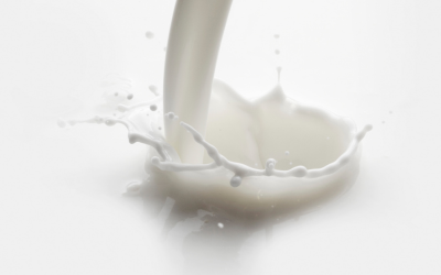 Ultra Filtered (UF) Milk